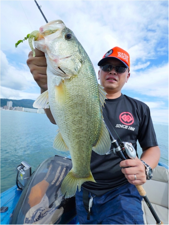 truth  ブログ写真 2018/09/11