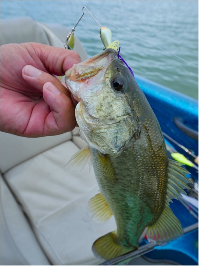 truth  ブログ写真 2018/09/11