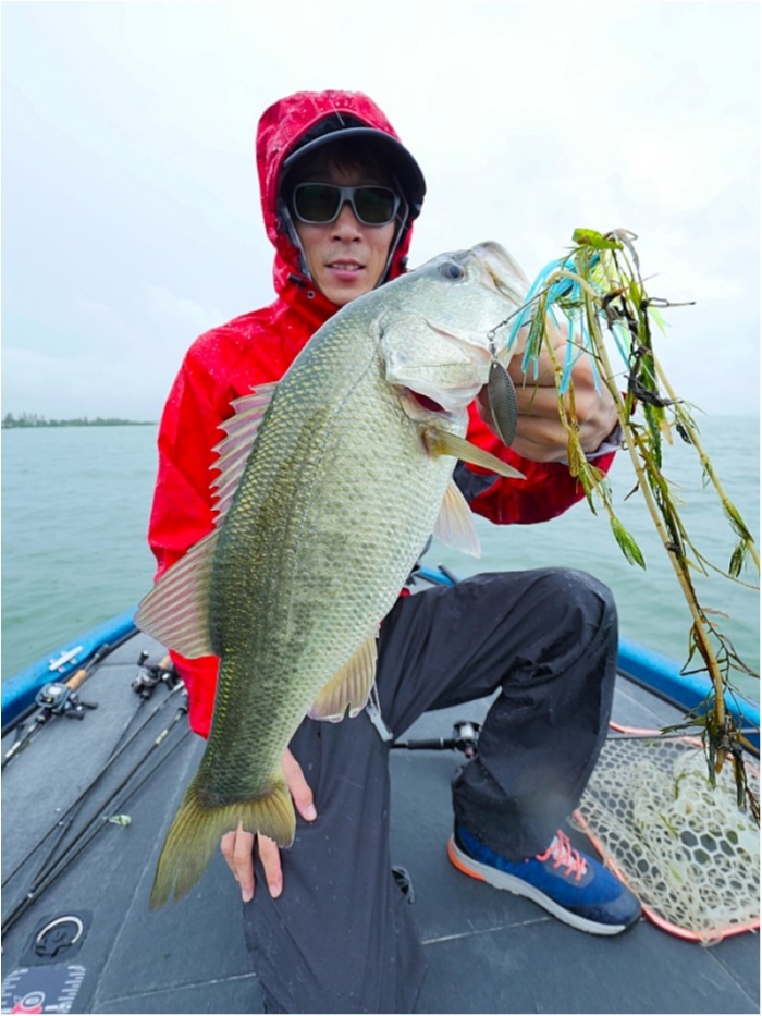 truth  ブログ写真 2018/09/11