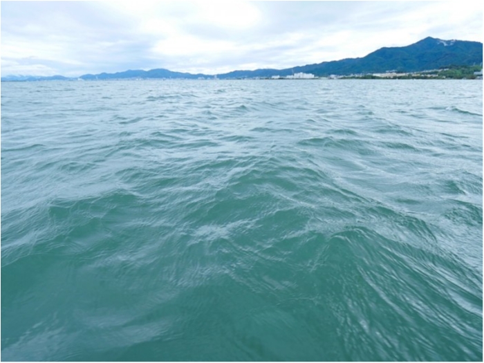 truth  ブログ写真 2018/09/11