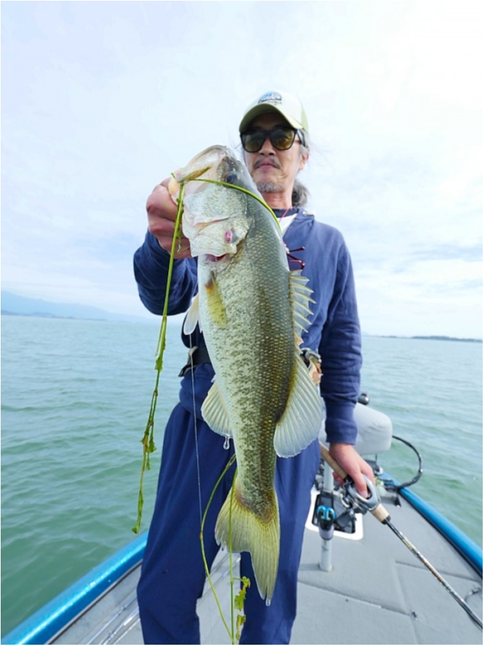 truth  ブログ写真 2018/09/13