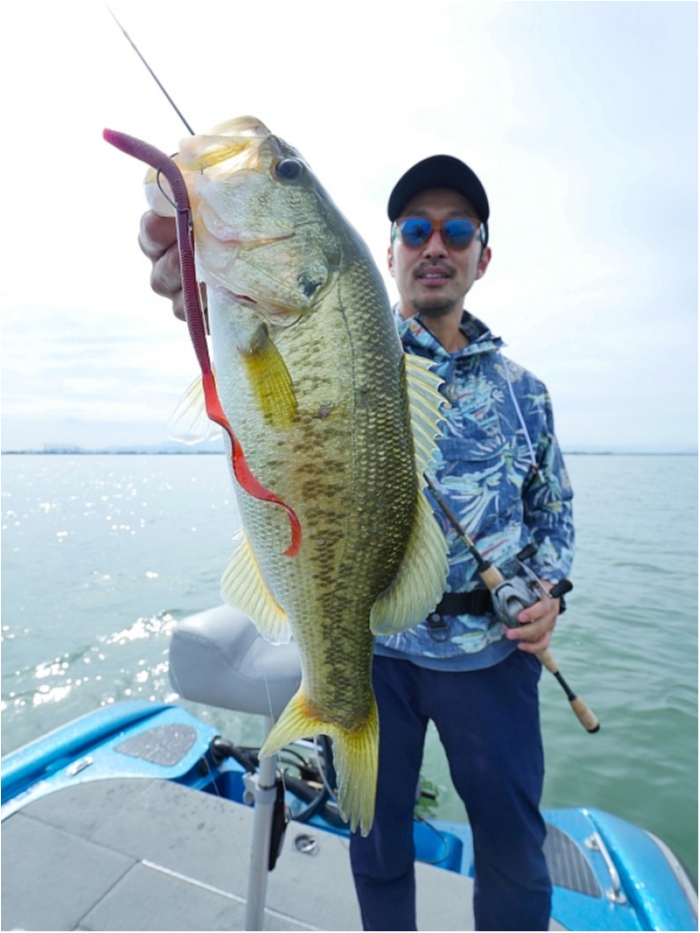 truth  ブログ写真 2018/09/13