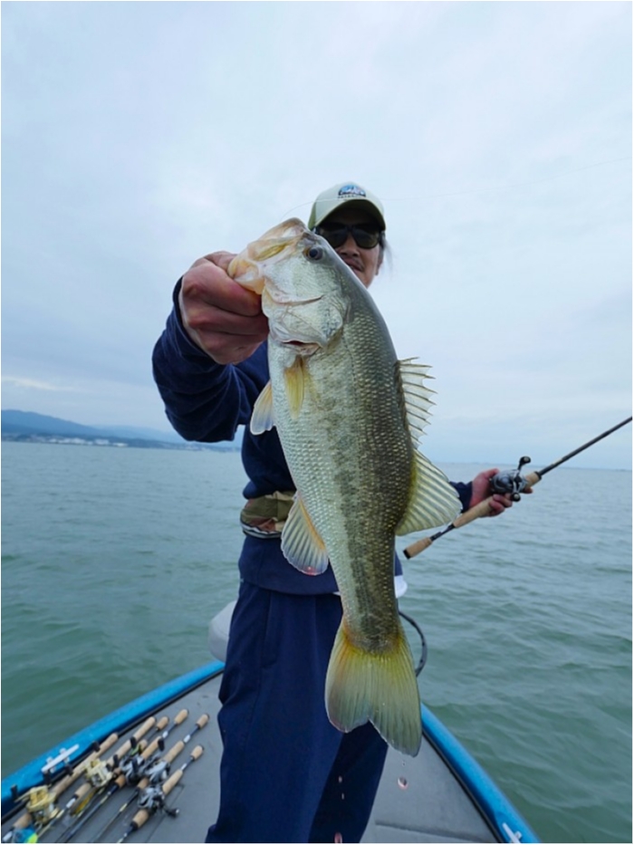 truth  ブログ写真 2018/09/13