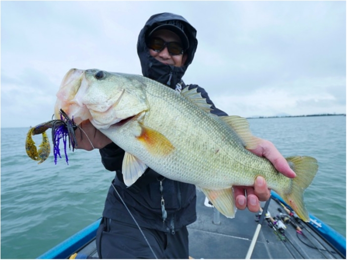 truth  ブログ写真 2018/09/14