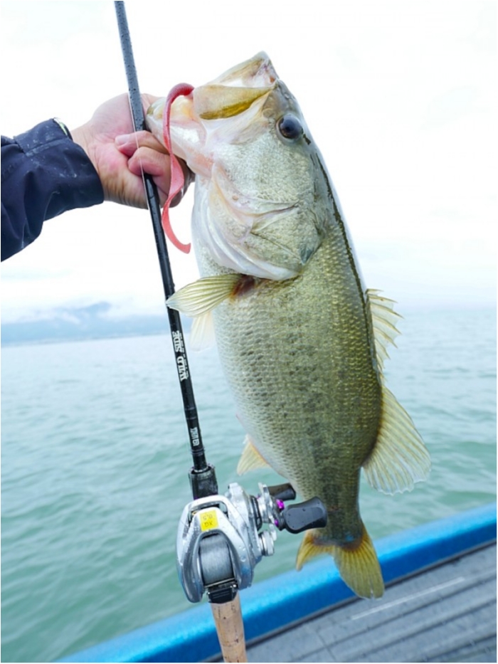 truth  ブログ写真 2018/09/14