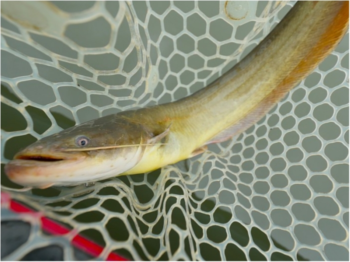 truth  ブログ写真 2018/09/15