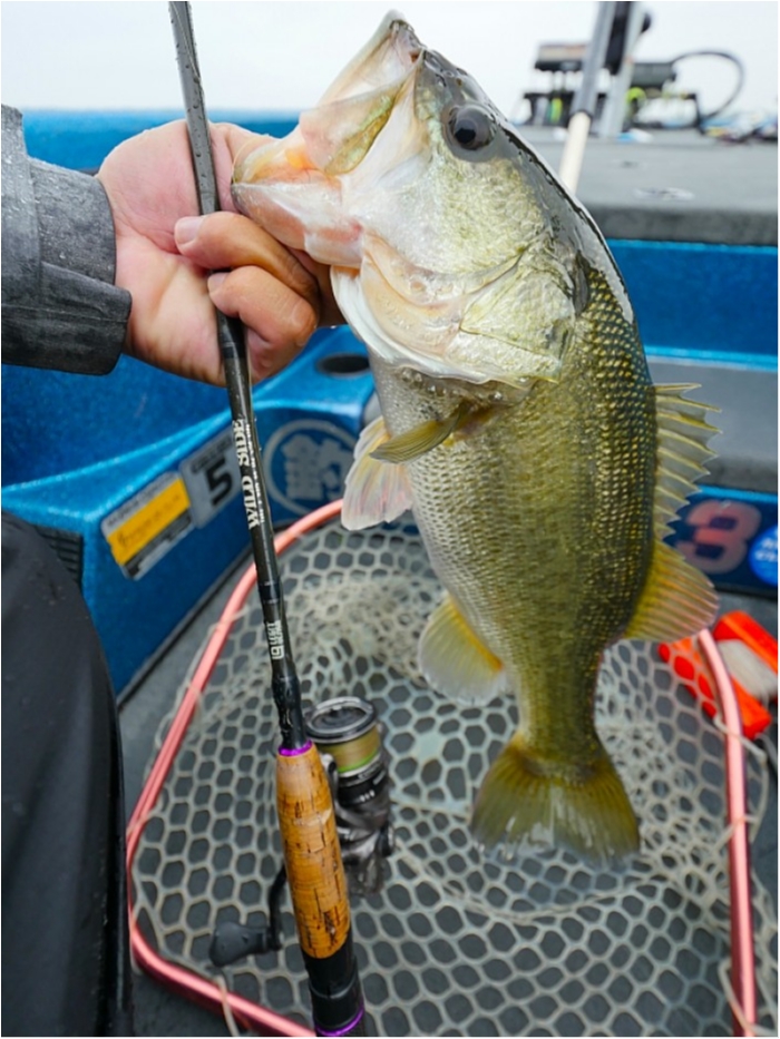 truth  ブログ写真 2018/09/15