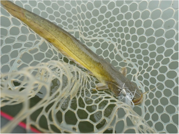 truth  ブログ写真 2018/09/15