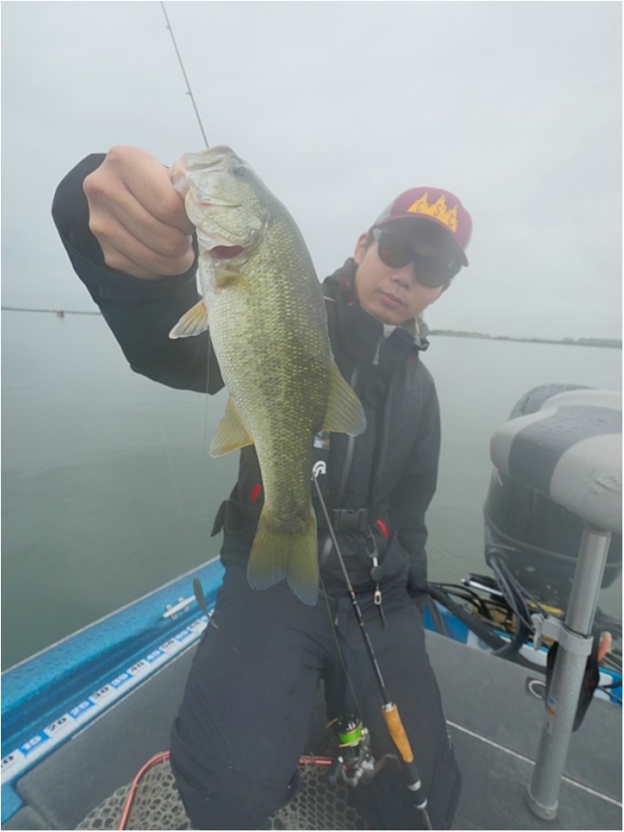 truth  ブログ写真 2018/09/15