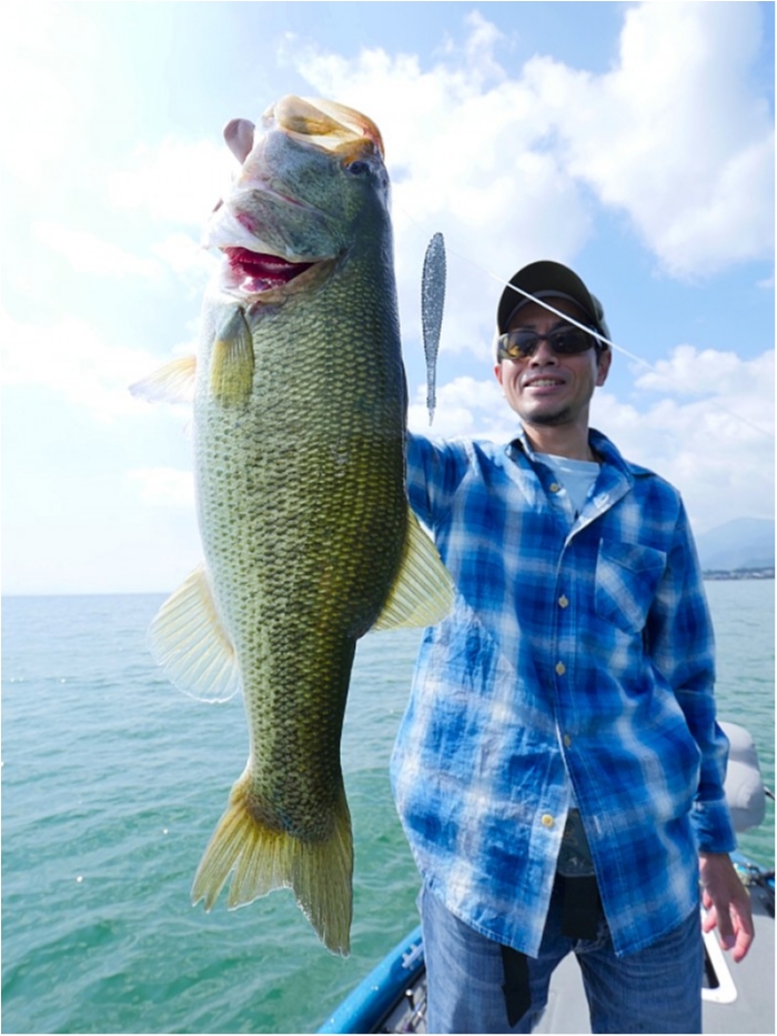 truth  ブログ写真 2018/09/18