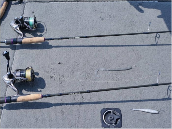 truth  ブログ写真 2018/09/18