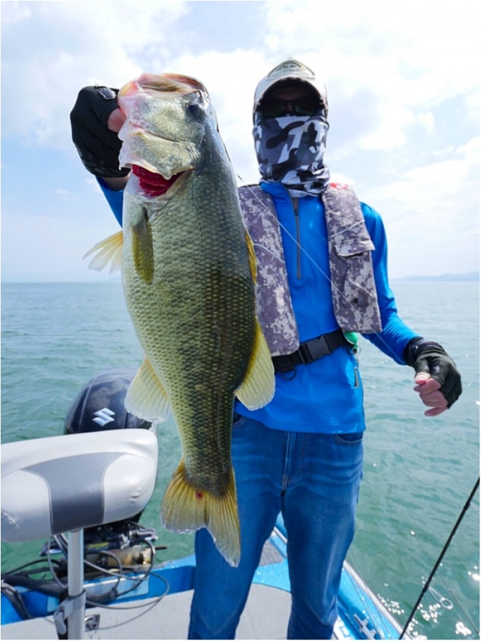 truth  ブログ写真 2018/09/18