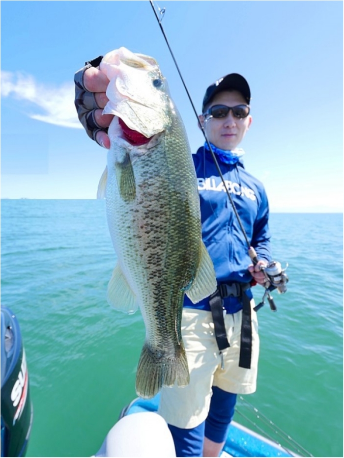 truth ブログ写真 2018/09/19