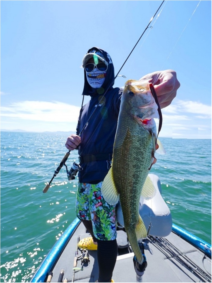 truth ブログ写真 2018/09/19