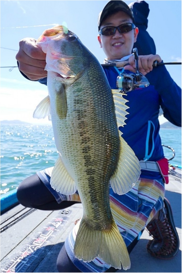 truth ブログ写真 2018/09/19