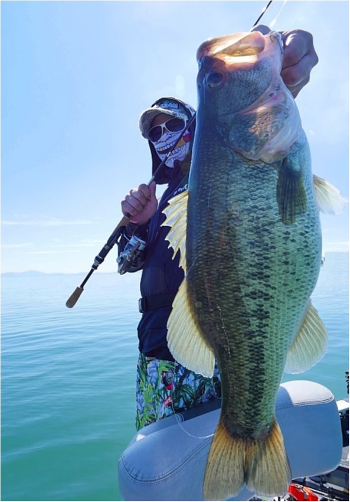 truth ブログ写真 2018/09/19