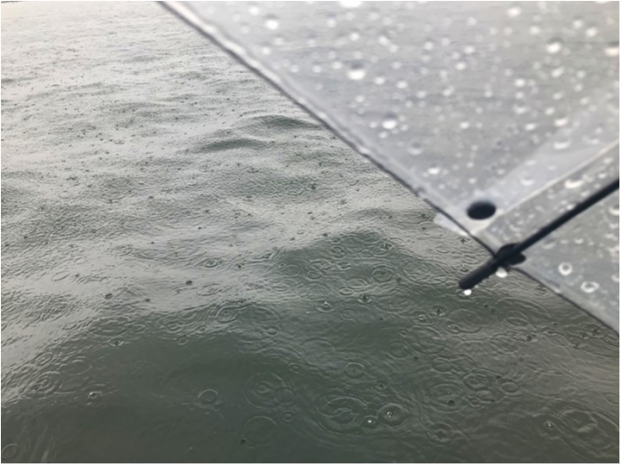 truth ブログ写真 2018/09/20