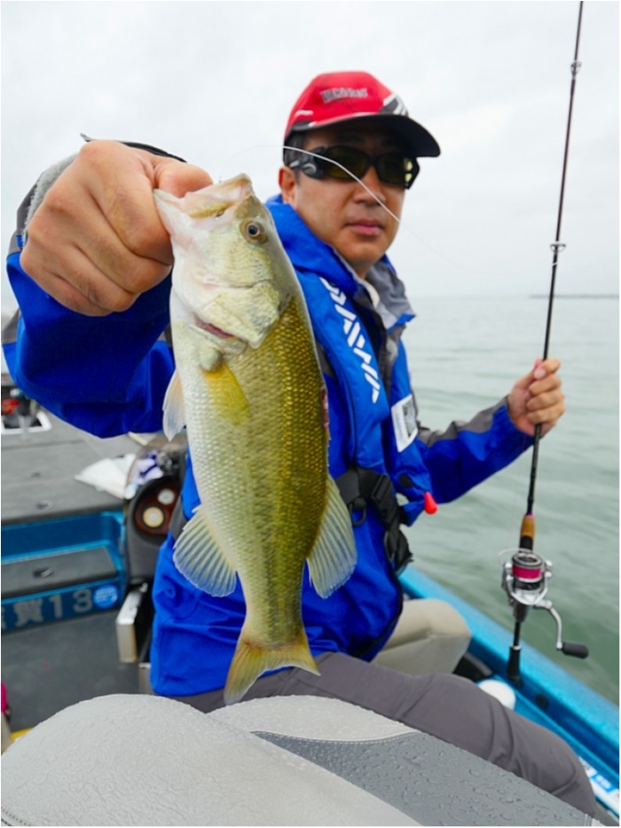 truth ブログ写真 2018/09/21