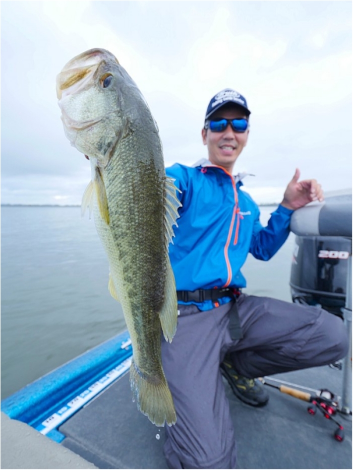 truth  ブログ写真 2018/09/22