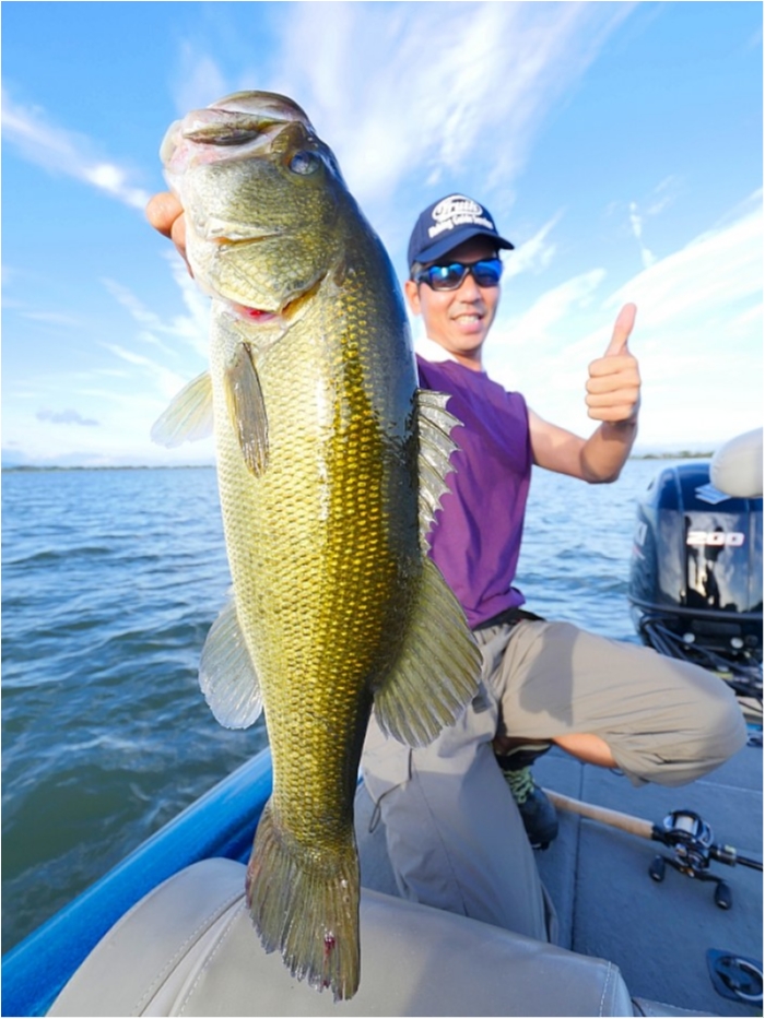 truth  ブログ写真 2018/09/22