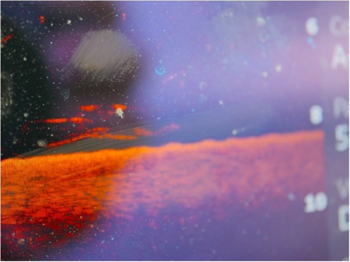 truth  ブログ写真 2018/09/25