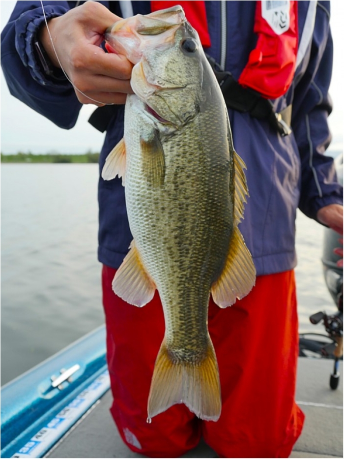 truth  ブログ写真 2018/09/25