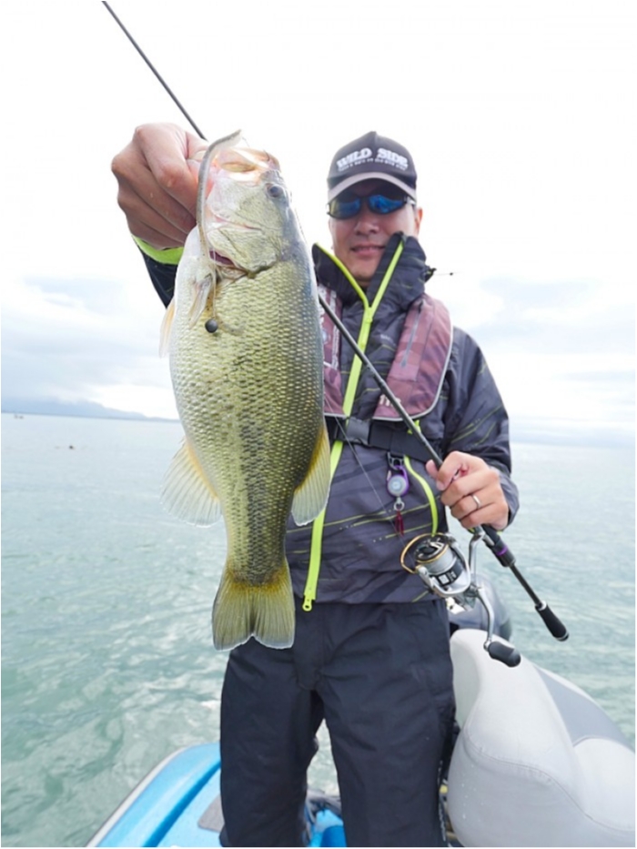 truth  ブログ写真 2018/10/07