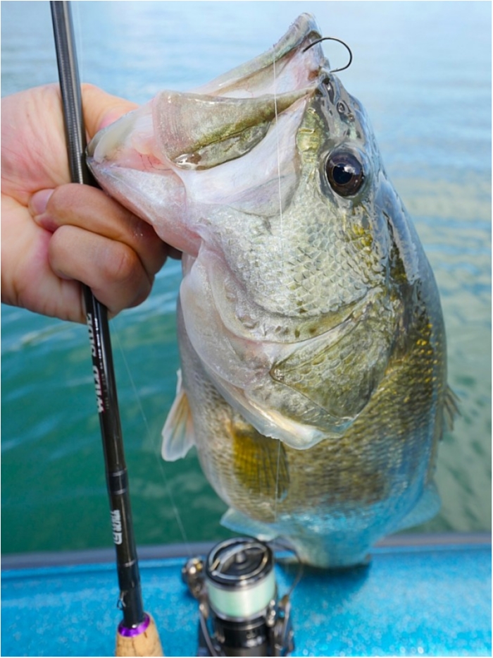 truth  ブログ写真 2018/10/07