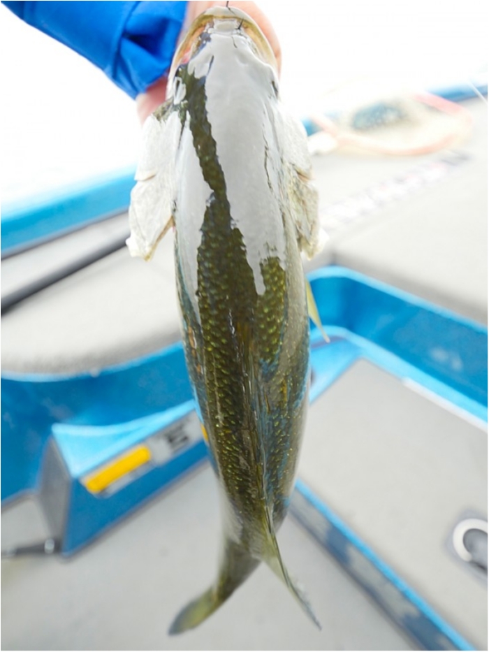 truth  ブログ写真 2018/10/07