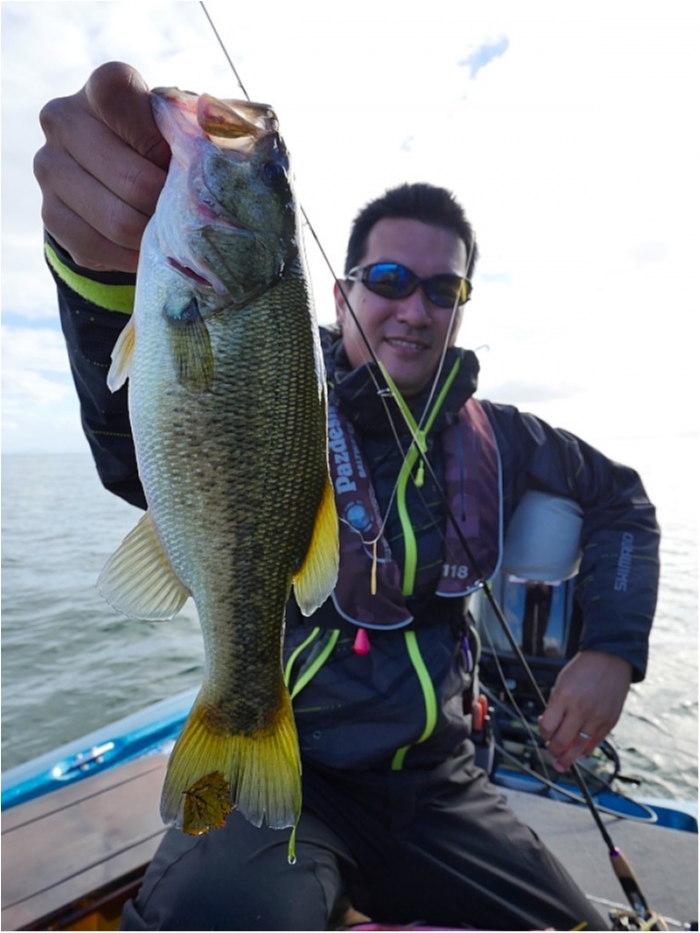 truth  ブログ写真 2018/10/07