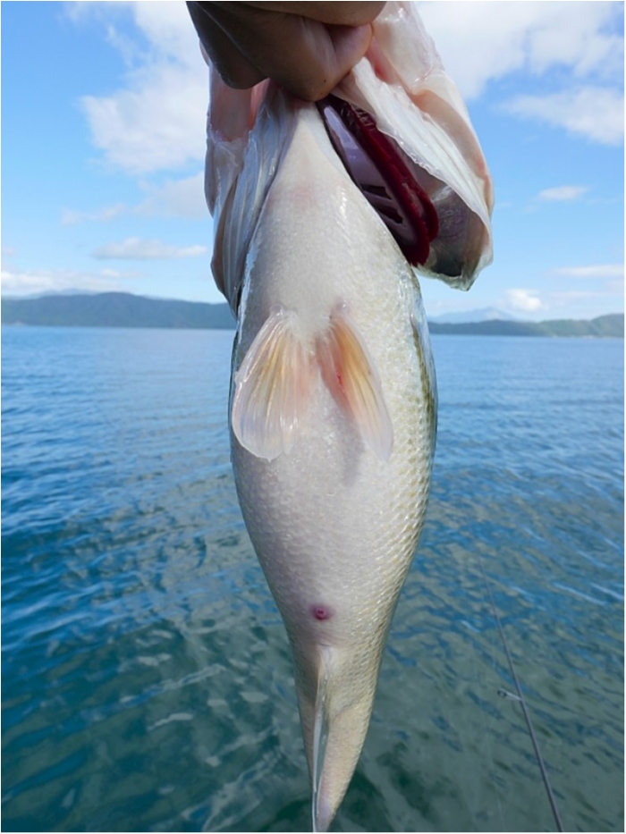 truth  ブログ写真 2018/10/07