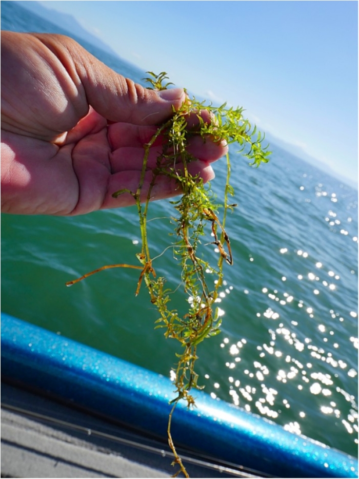 truth  ブログ写真 2018/10/08