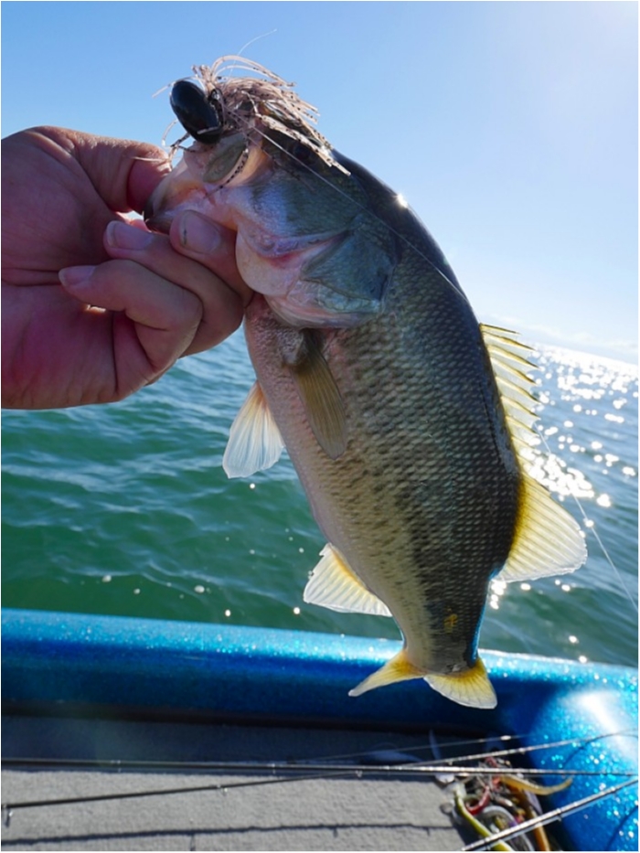 truth  ブログ写真 2018/10/08