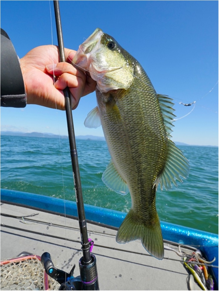 truth  ブログ写真 2018/10/08