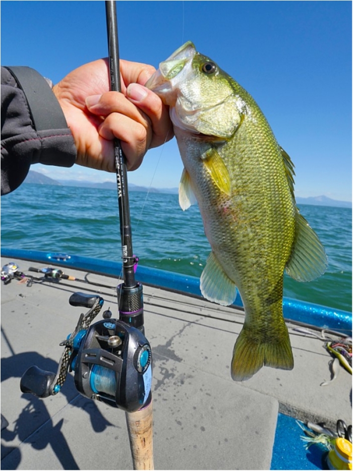 truth  ブログ写真 2018/10/08