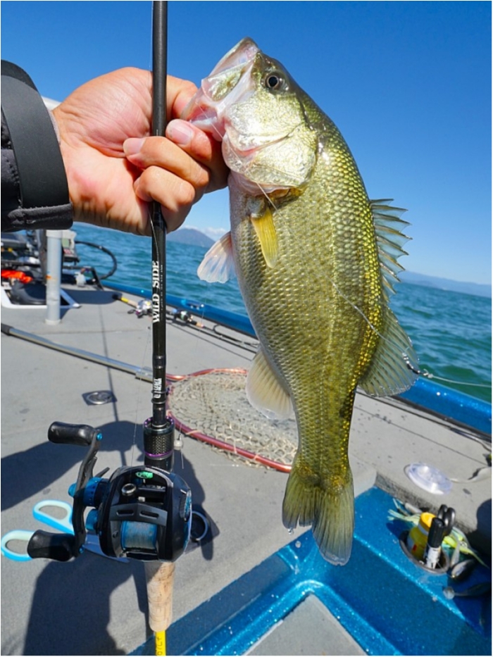 truth  ブログ写真 2018/10/08