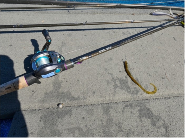 truth  ブログ写真 2018/10/08