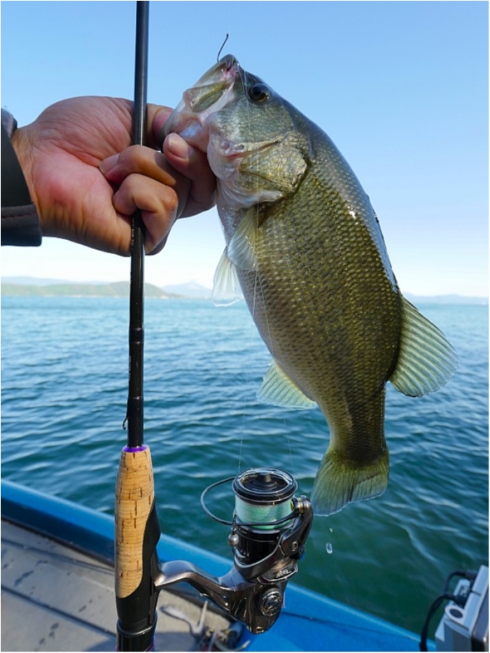 truth  ブログ写真 2018/10/08