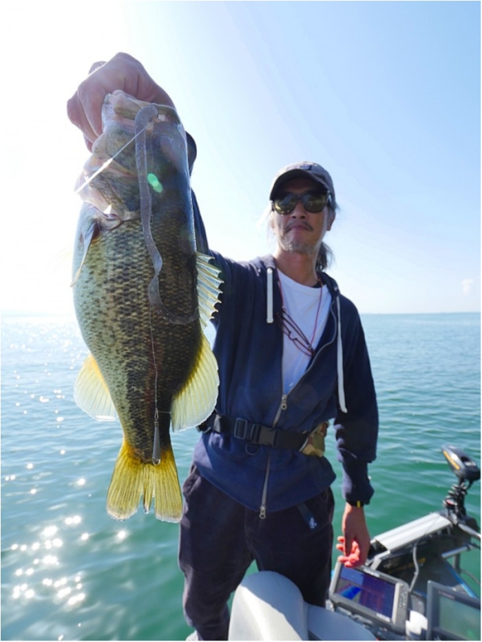 truth  ブログ写真 2018/10/09