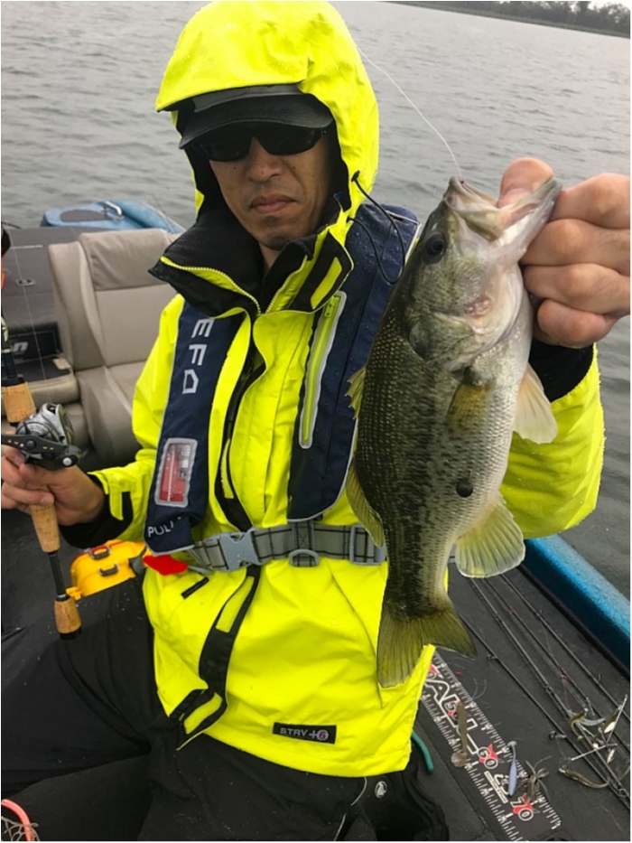 truth  ブログ写真 2018/10/10