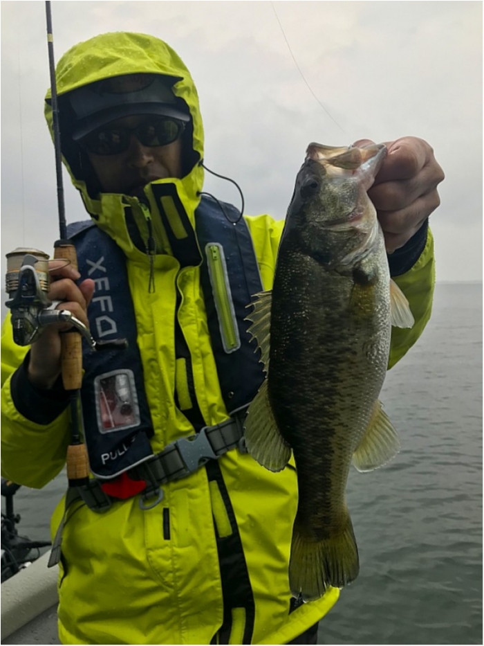 truth  ブログ写真 2018/10/10