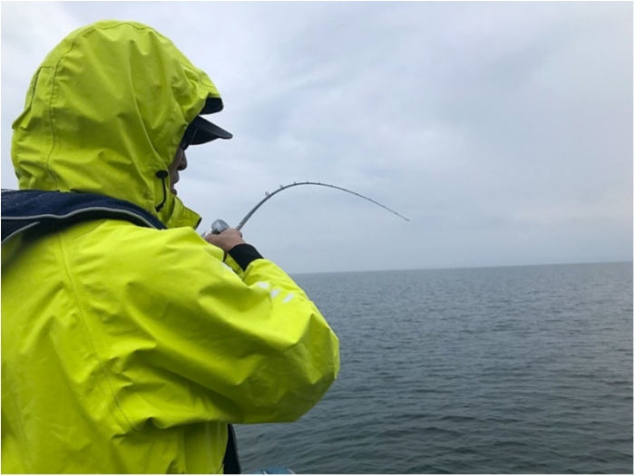 truth  ブログ写真 2018/10/10