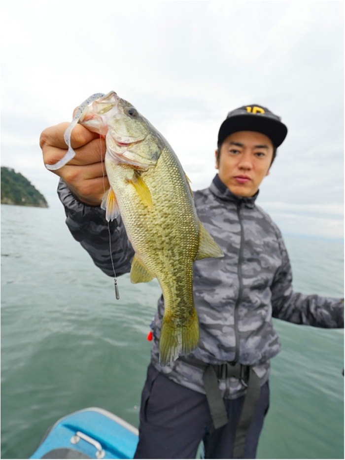 truth  ブログ写真 2018/10/11