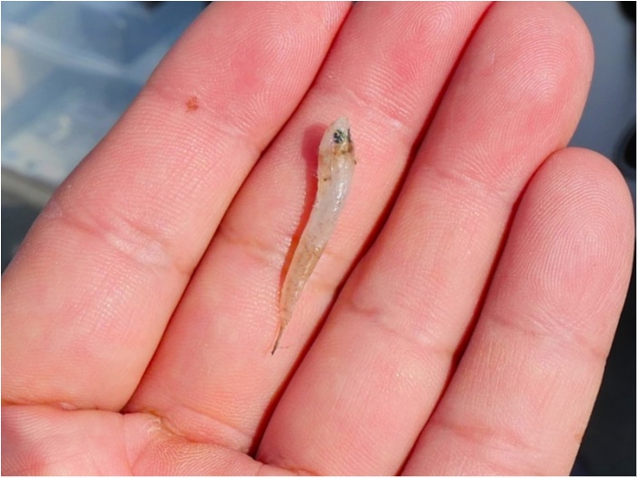 truth  ブログ写真 2018/10/13