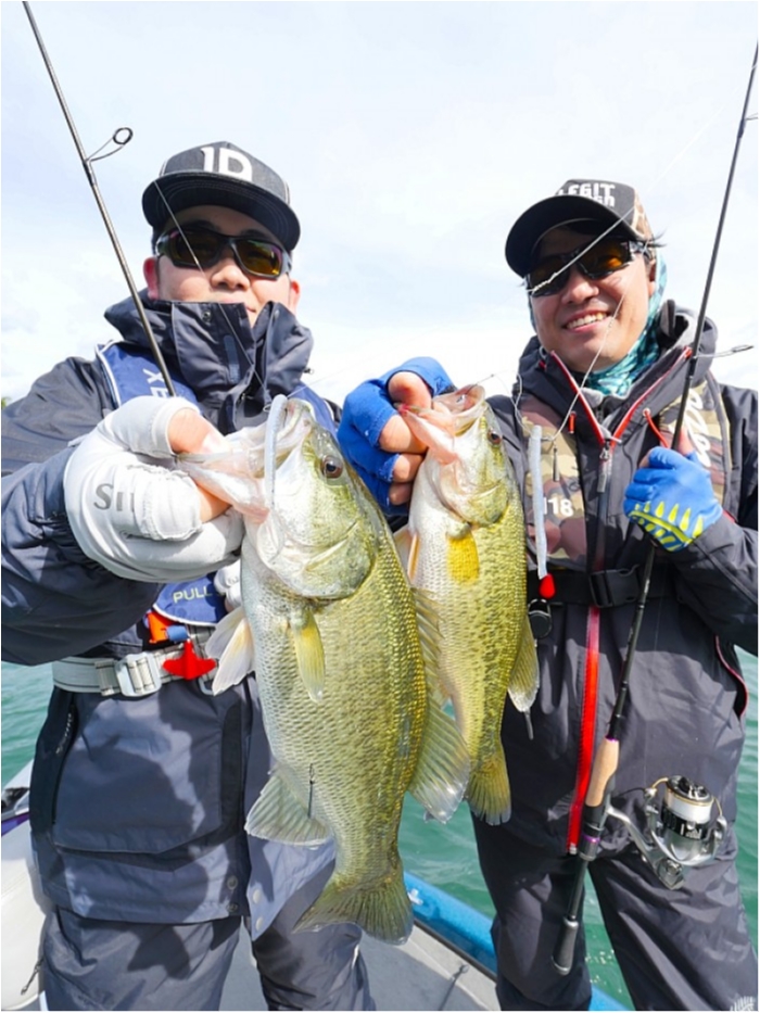 truth  ブログ写真 2018/10/13