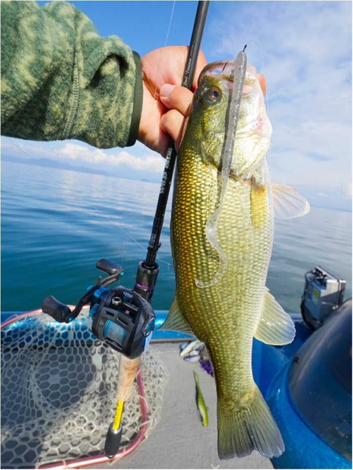 truth  ブログ写真 2018/10/16