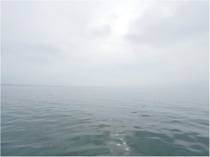 truth  ブログ写真 2018/10/16