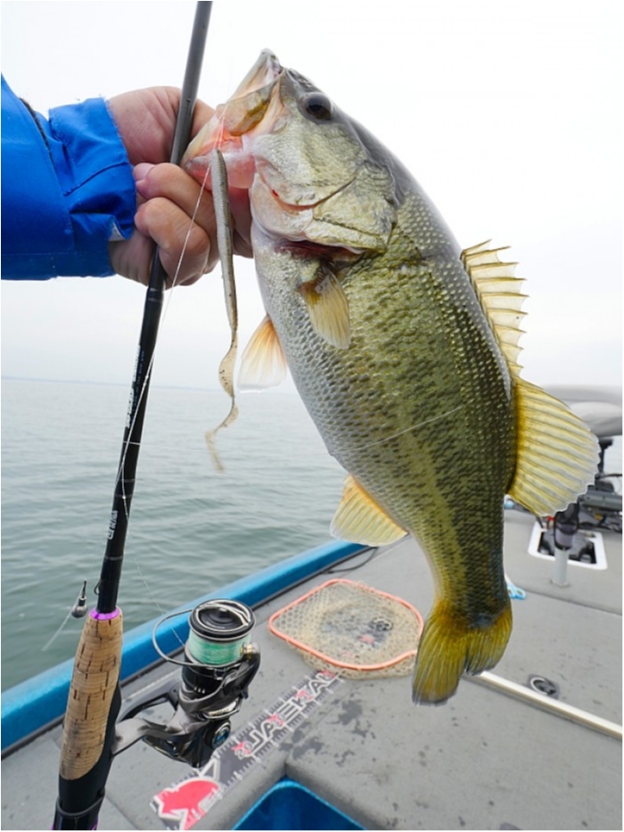 truth  ブログ写真 2018/10/16