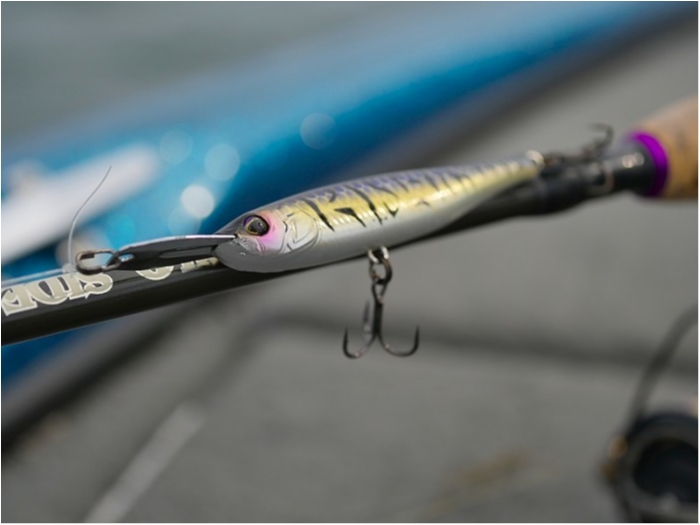 truth  ブログ写真 2018/10/16