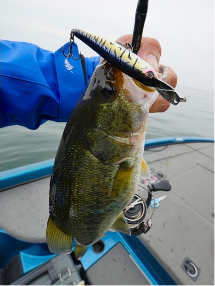 truth  ブログ写真 2018/10/16